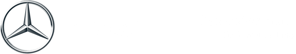 Nefesoğulları logosu