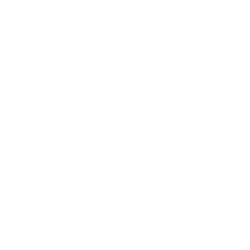Vevez logosu